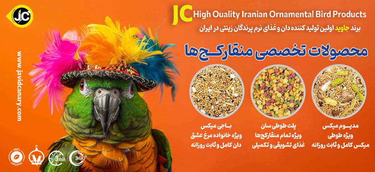 جاوید قناری 2