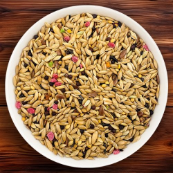 دیلی میکس قناری تابستانه (استراحت)