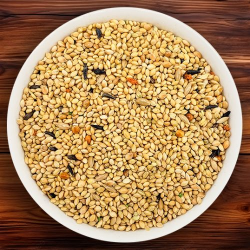 گلد میکس(ویژه فنچ‌سانان)